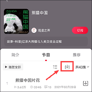 伤缺世界杯！卡尔发文：这种痛苦难以形容 为世界杯付出了一切